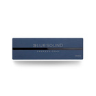 Bluesound Professional B100S  1 Zone Network Music Player - 1/3 1U 